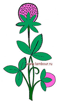      - www.tambour.ru
